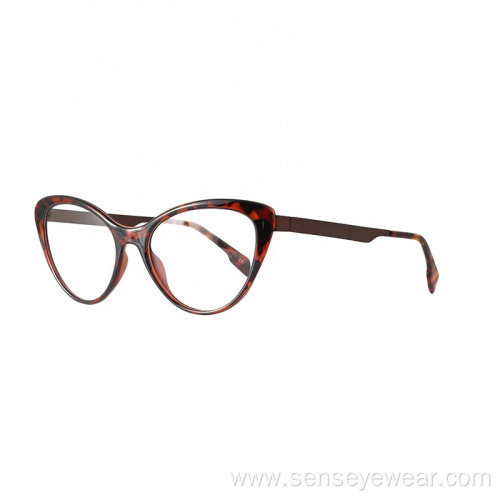 TR90 Metal Mixed Stainless Steel Glasses Frame Eyeglass